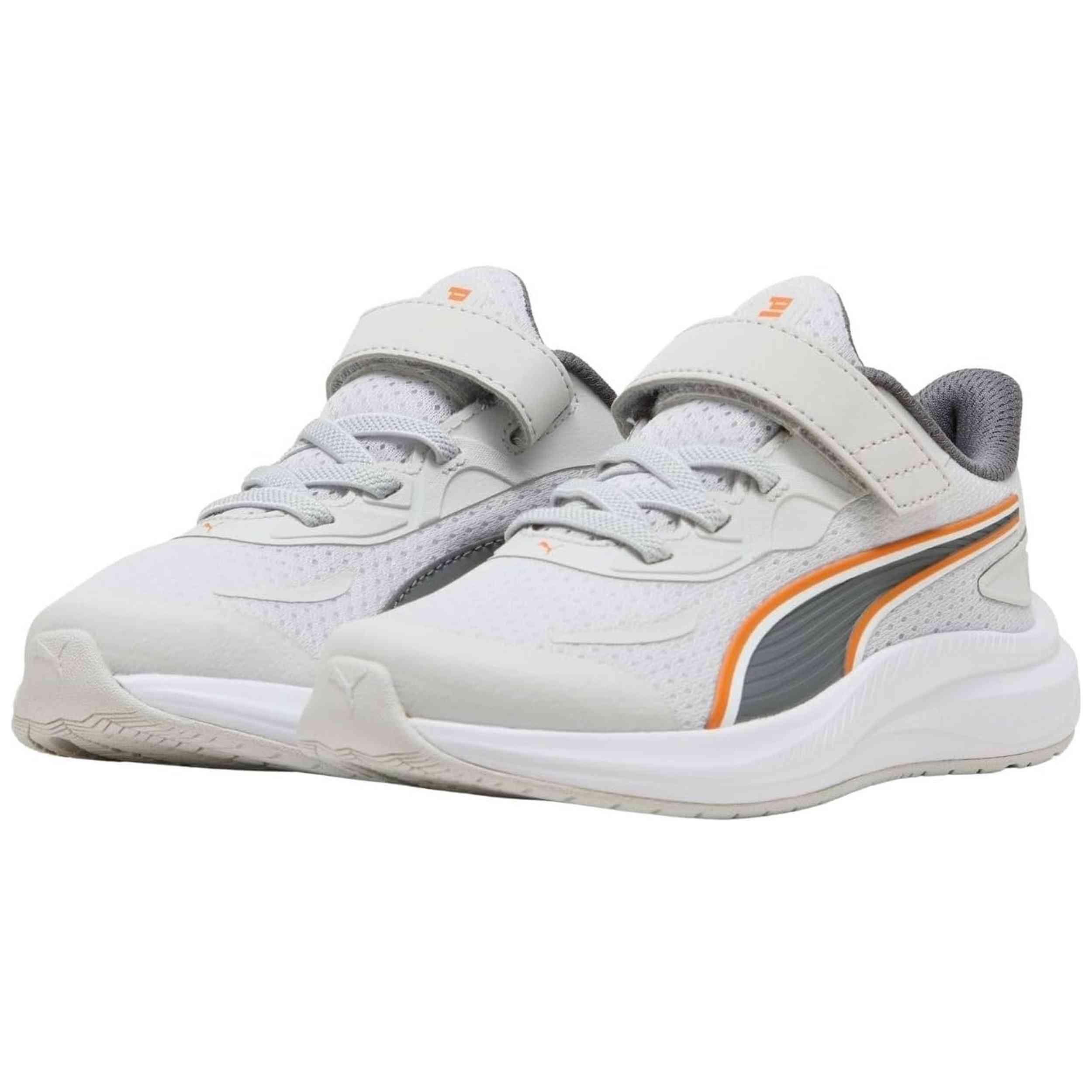 PUMA picture