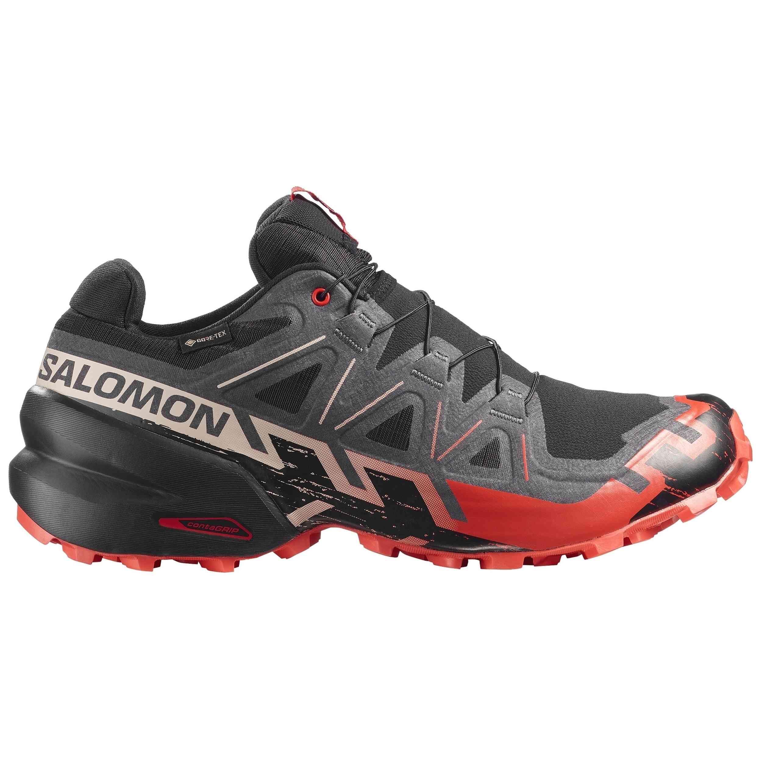 SALOMON picture