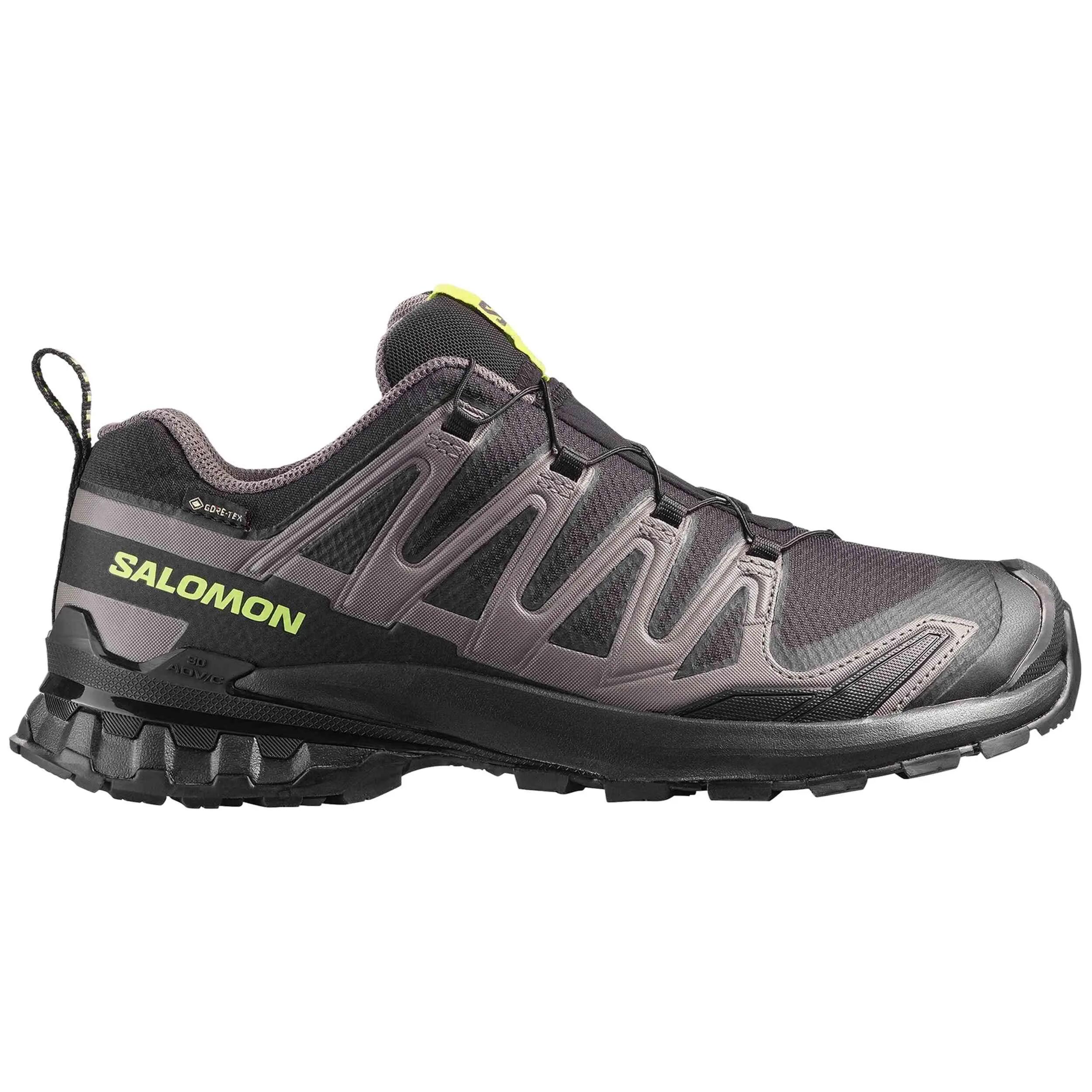 SALOMON picture