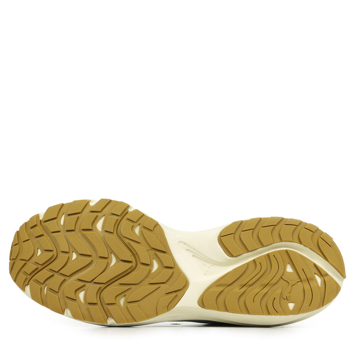 Baskets Homme Hypnotic LS 6/6