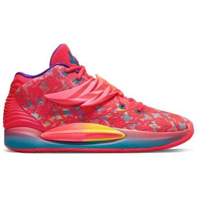 Basketbalschoenen nike model do6903-600 voor mannen