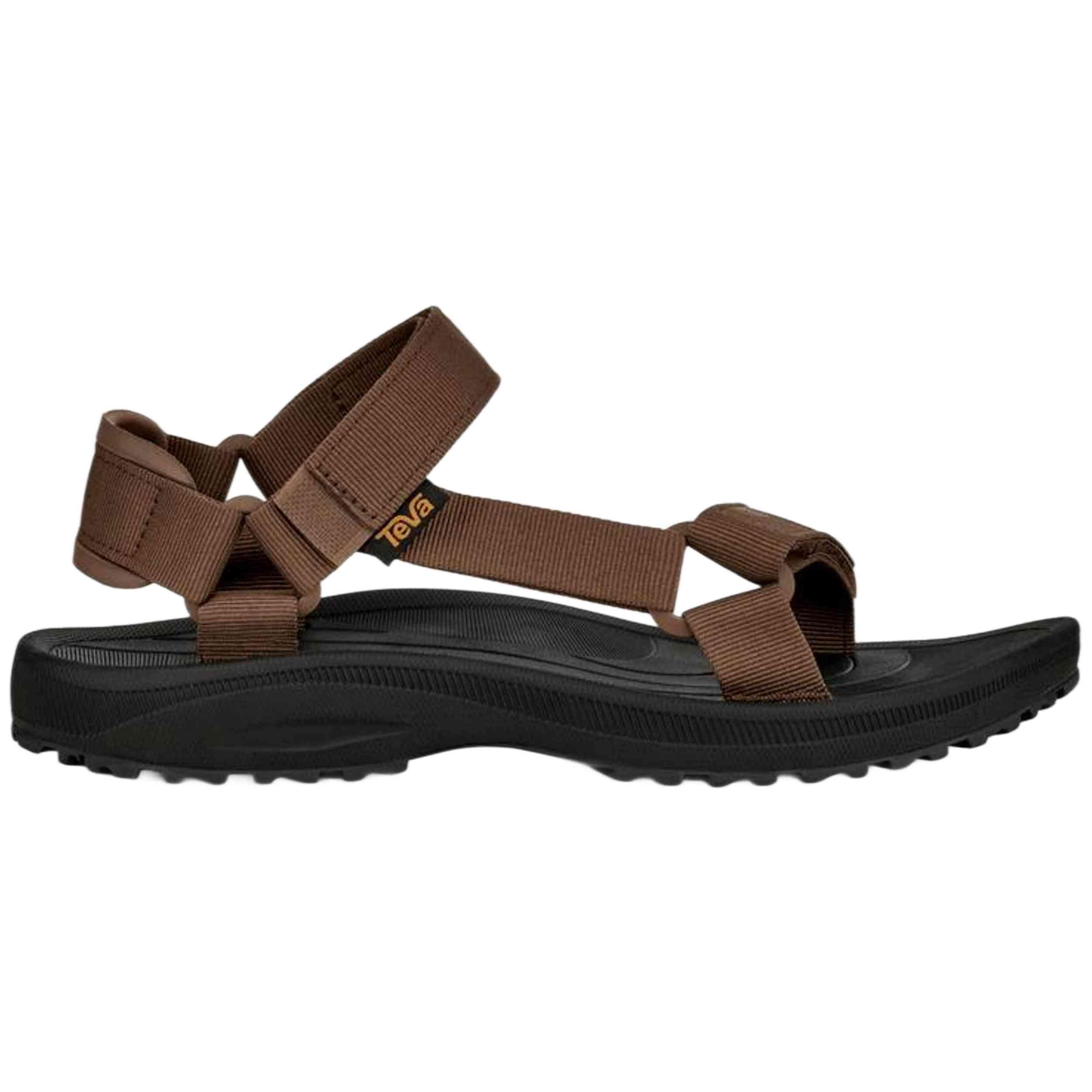 TEVA picture