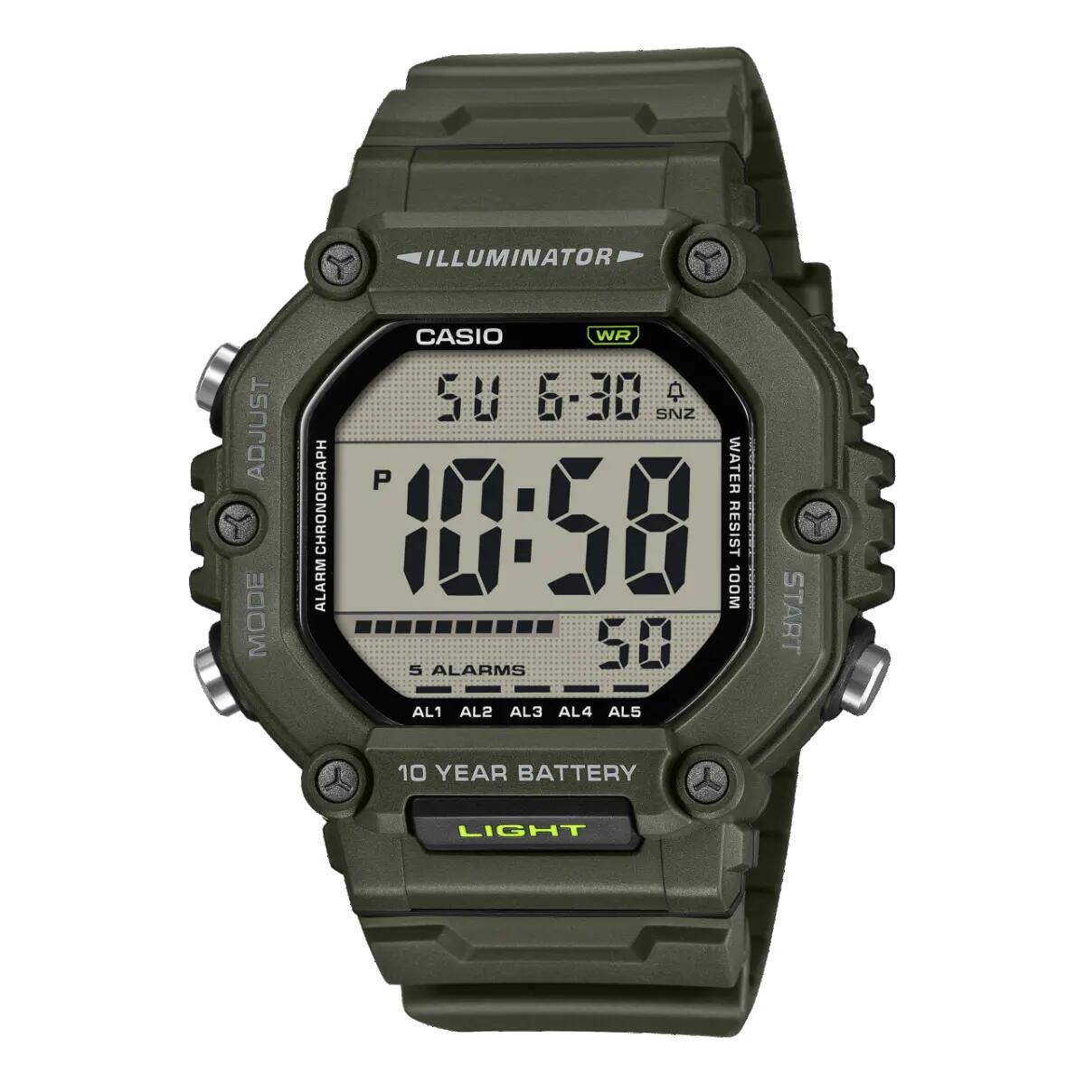 CASIO picture