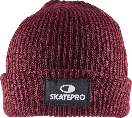 SKATEPRO picture