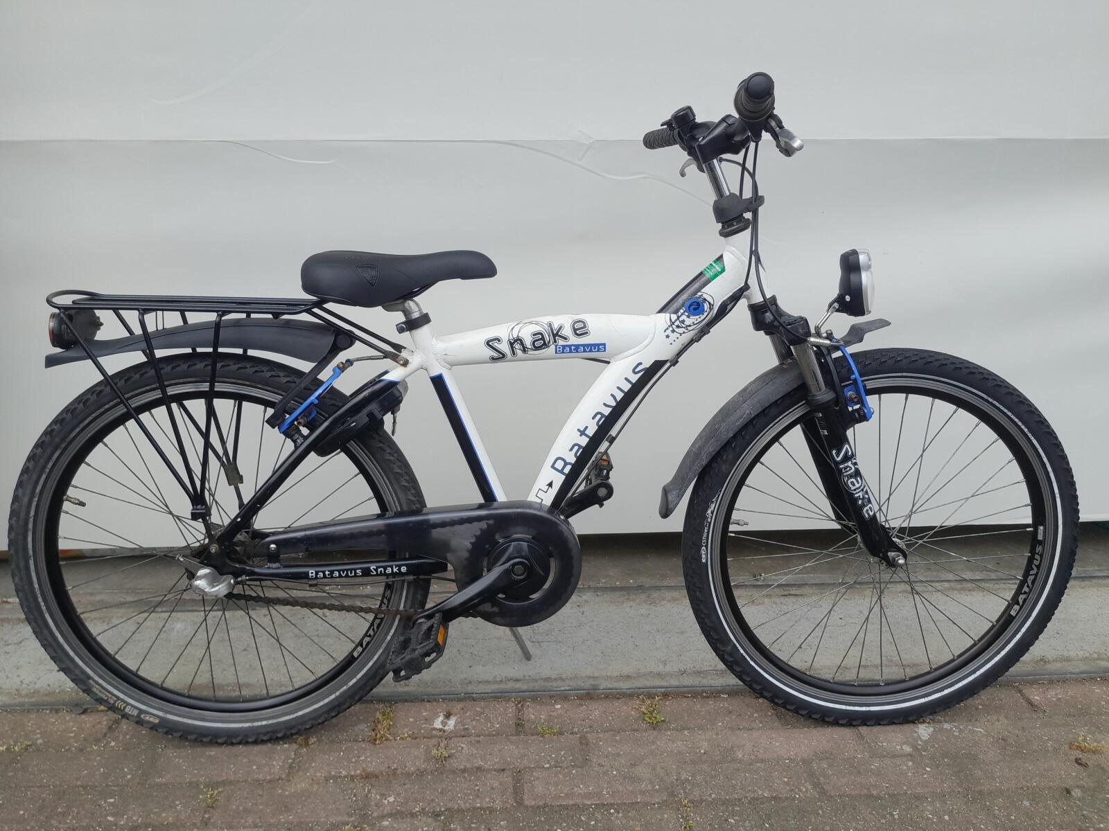 BATAVUS picture