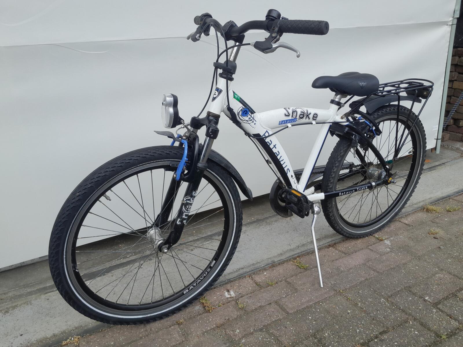 Batavus Snake 4/5