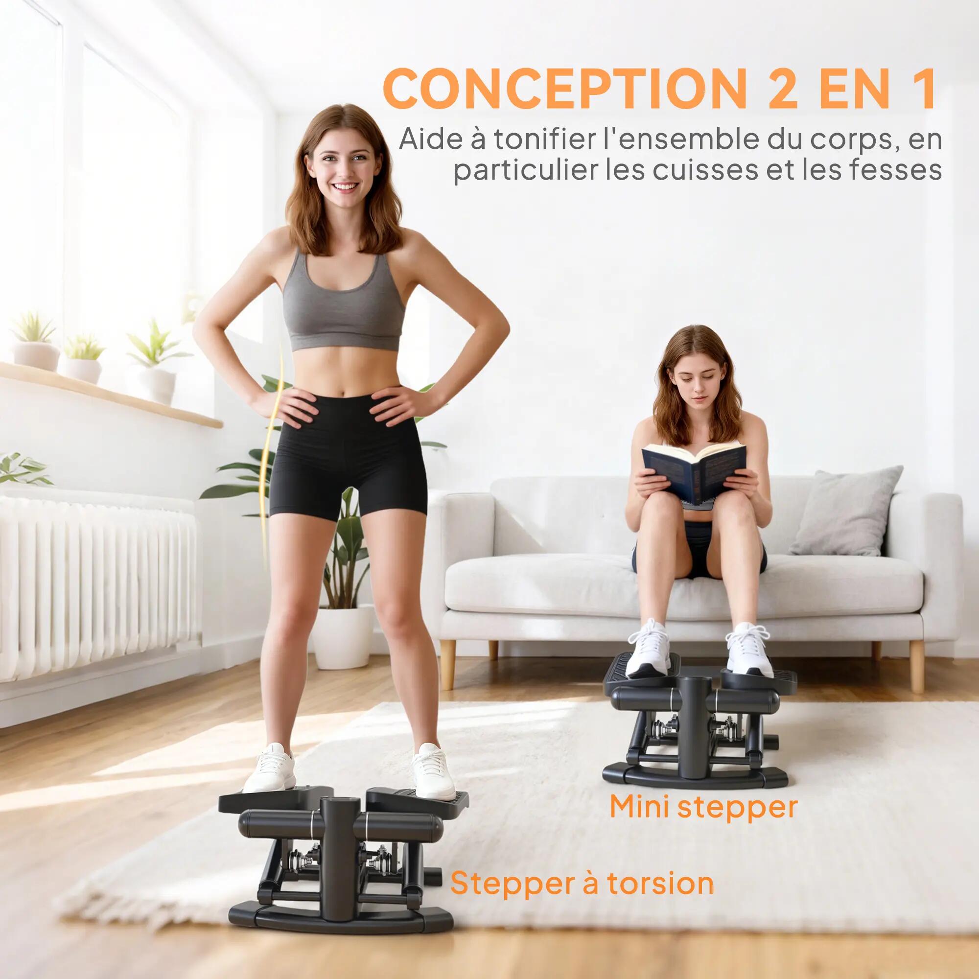 Mini stepper Fitness disque de torsion 2 en 1 réglable écran LCD 4/5