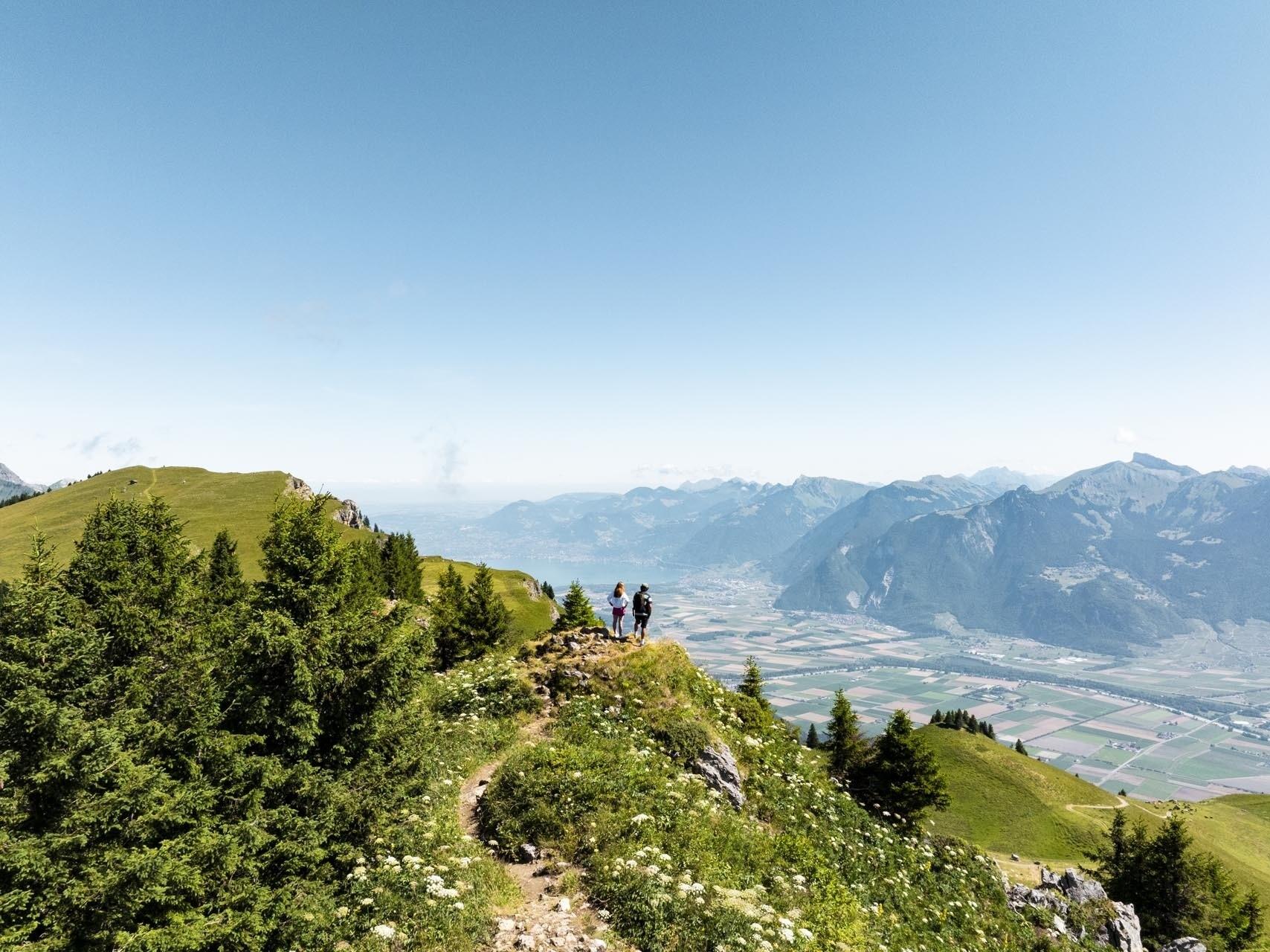 DECATHLON TRAVEL picture