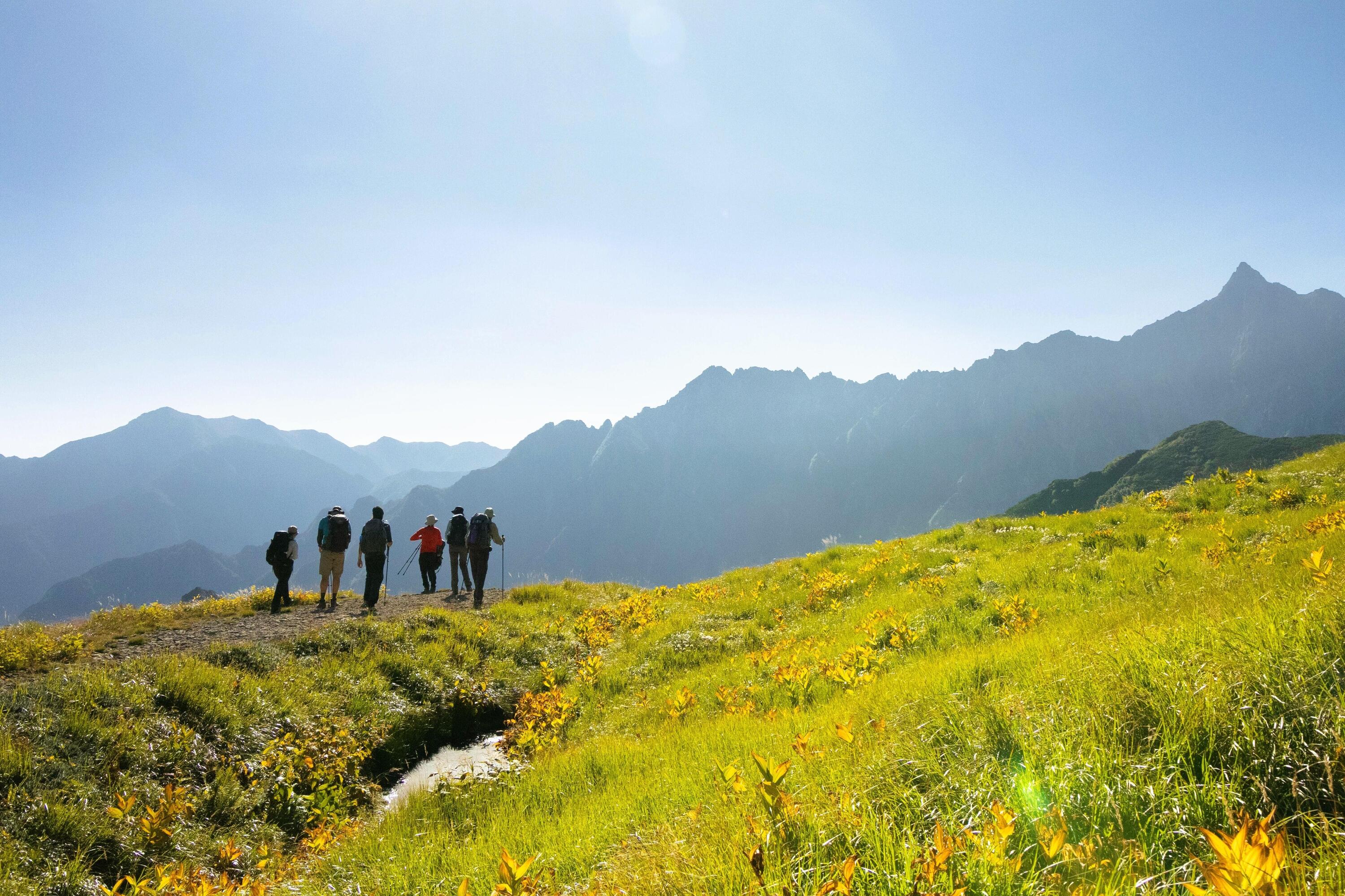 DECATHLON TRAVEL picture