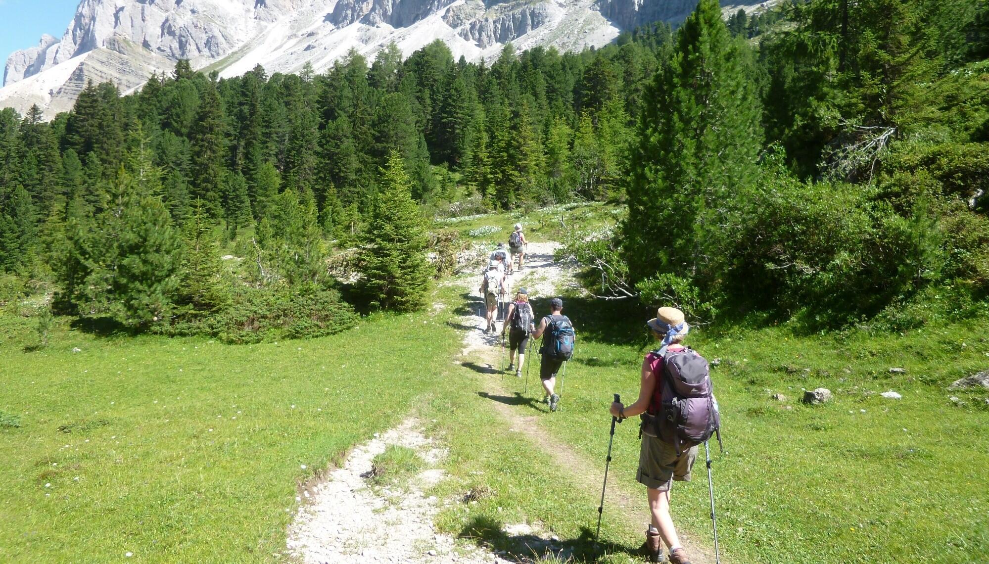 DECATHLON TRAVEL picture