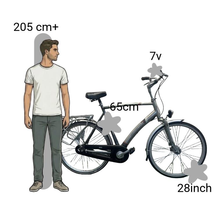 Vélo d’occasion Sparta Lexicon 2/4