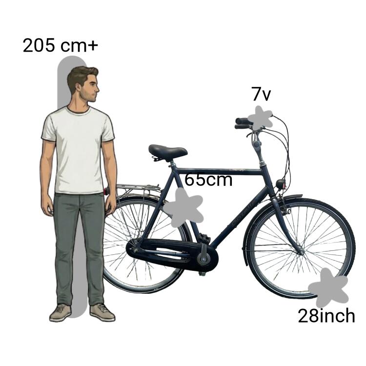 Bicicleta usada Gazelle Orange 2/4