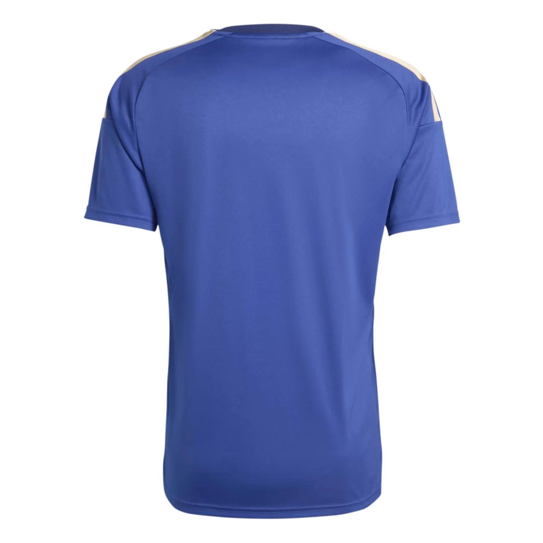 Thuisstrijdersshirt Italië Coupe du Monde 2026 2/7