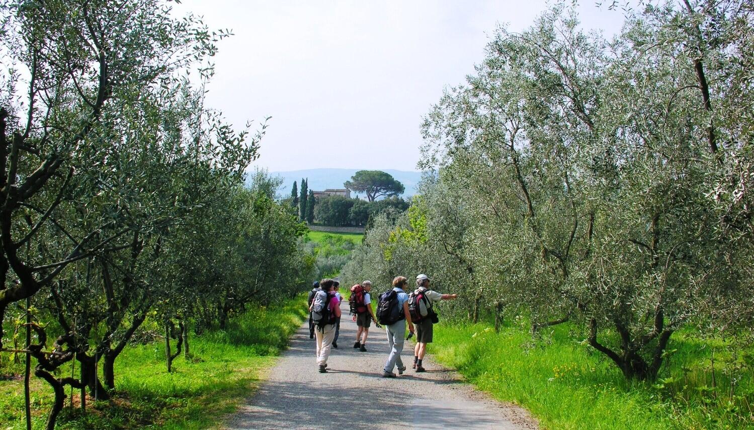 DECATHLON TRAVEL picture