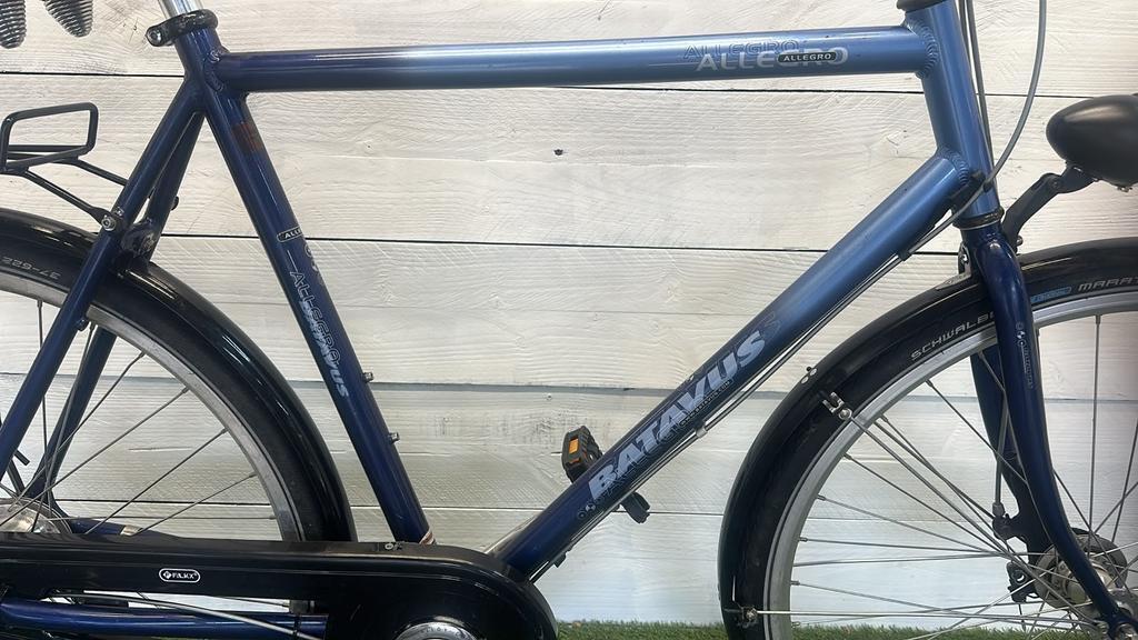 BATAVUS picture