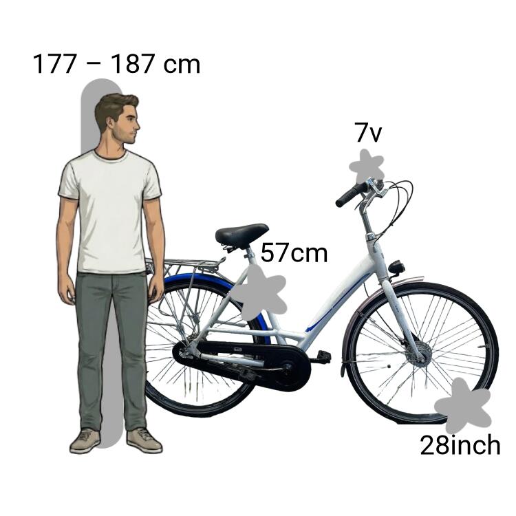 Vélo d’occasion Sparta 2/4