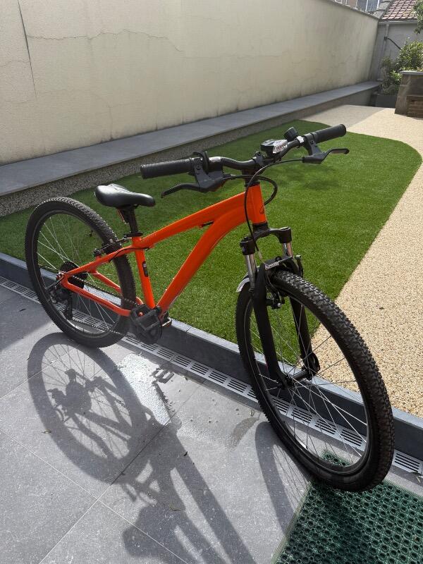 ROCKRIDER picture