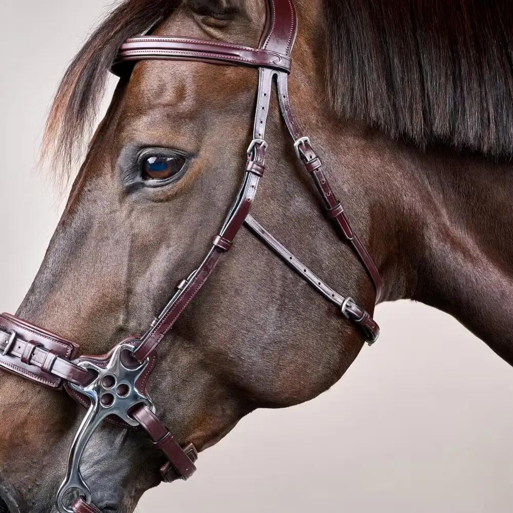 Hackamore für Pferde Dy'on New English Collection 3/4