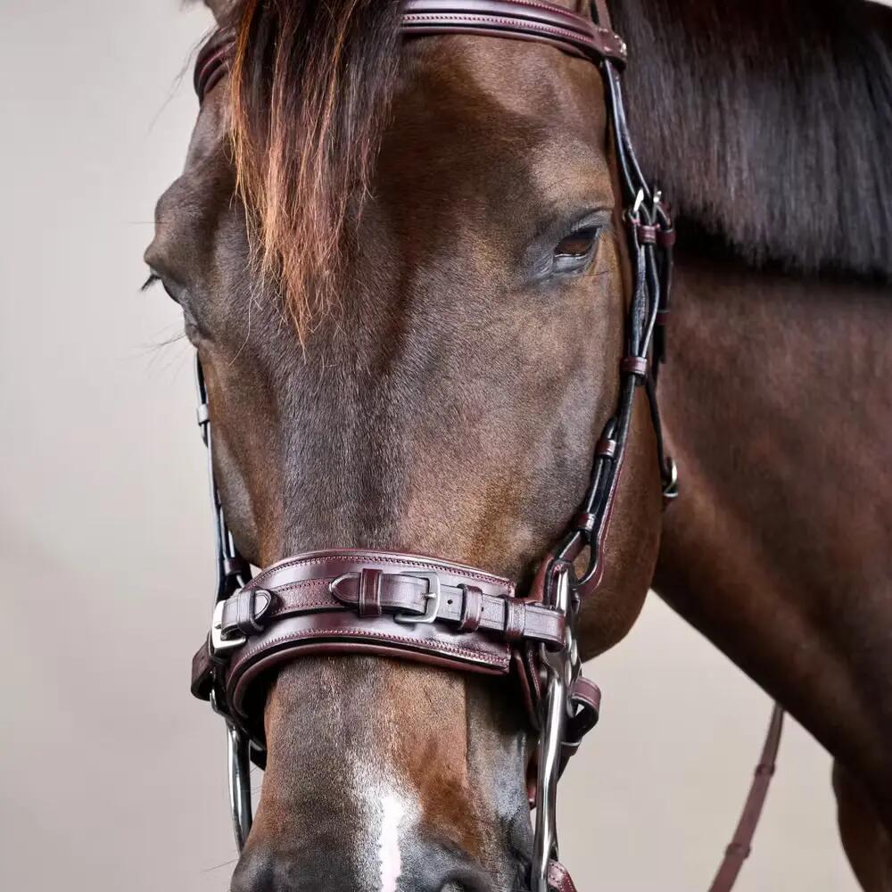 Hackamore für Pferde Dy'on New English Collection 2/4