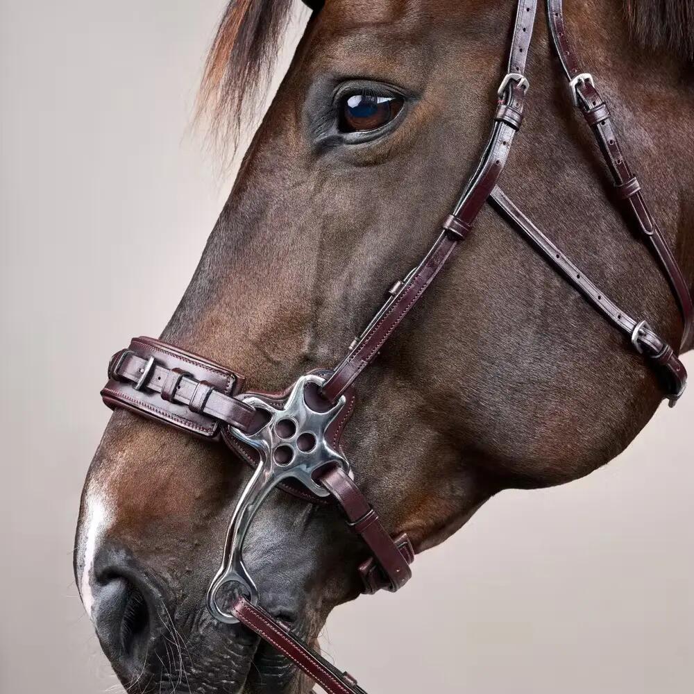 Hackamore für Pferde Dy'on New English Collection 4/4