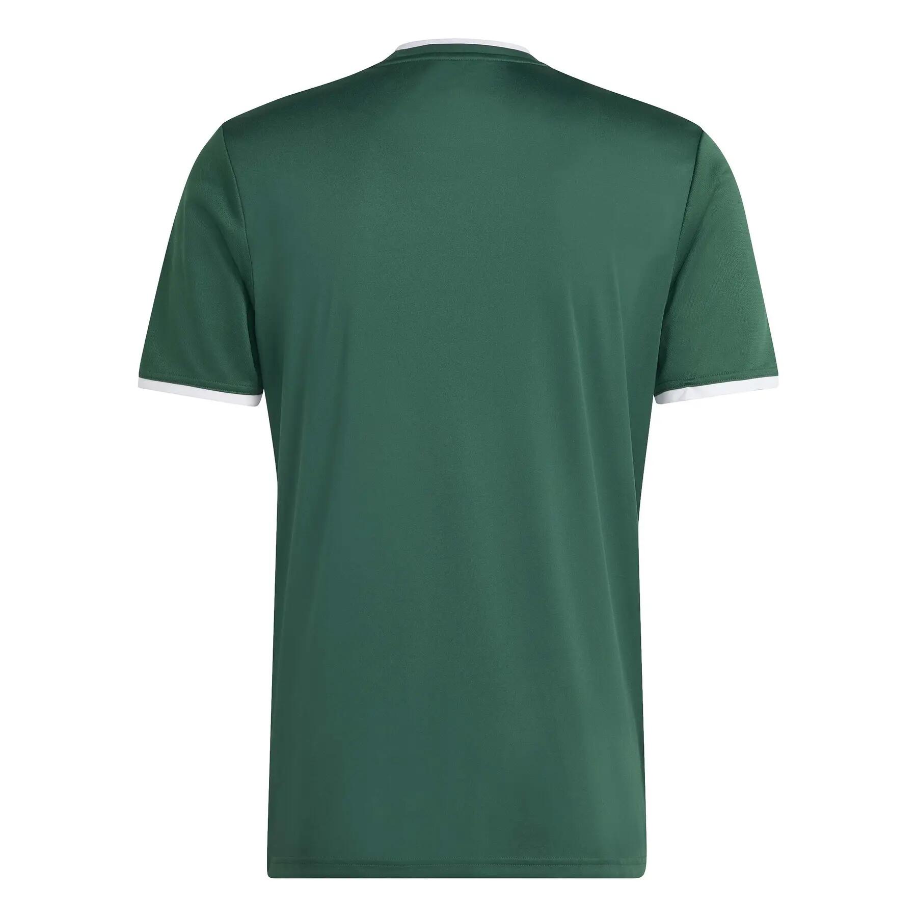 Trikot adidas Entrada26 Graphic 5/7