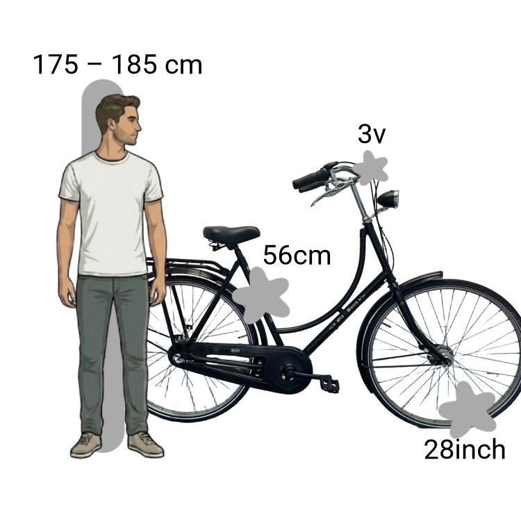 Tweedehands Batavus Old Dutch 2/4
