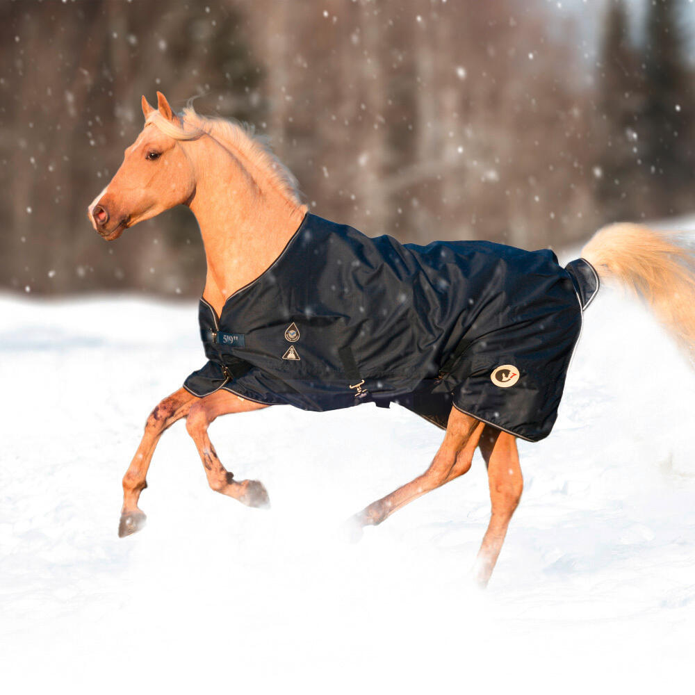 HORSEVEN picture