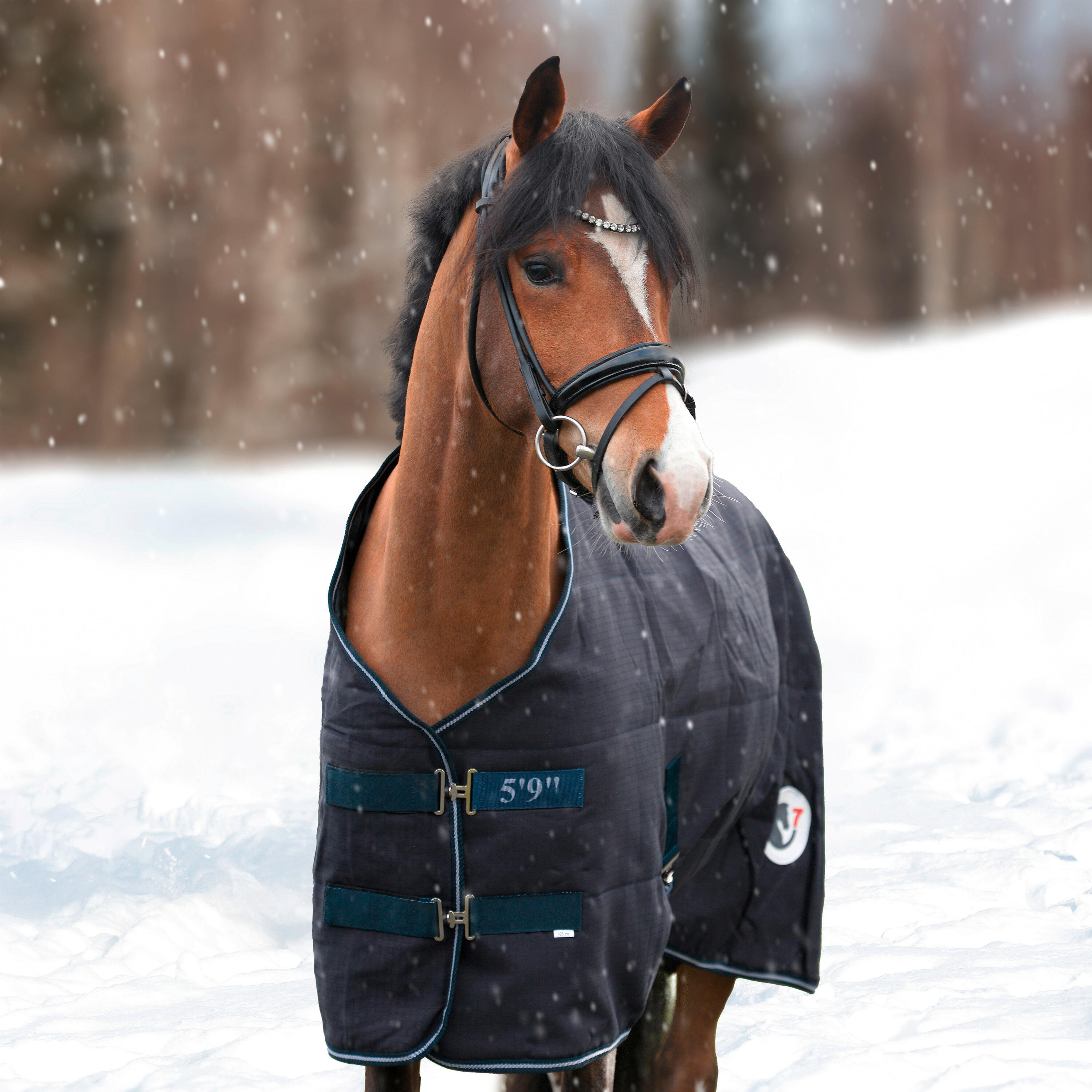 Couverture d'écurie pour cheval HorSeven 300g 5/5