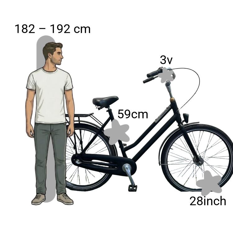Vélo d’occasion Gazelle NL 2/4