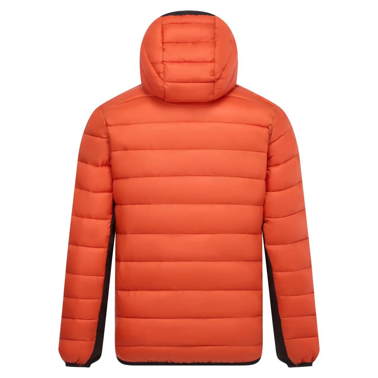 Veste hybride Regatta Leedre 2/5