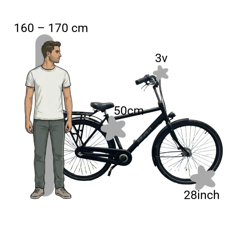Tweedehands Batavus 24/7 2/4