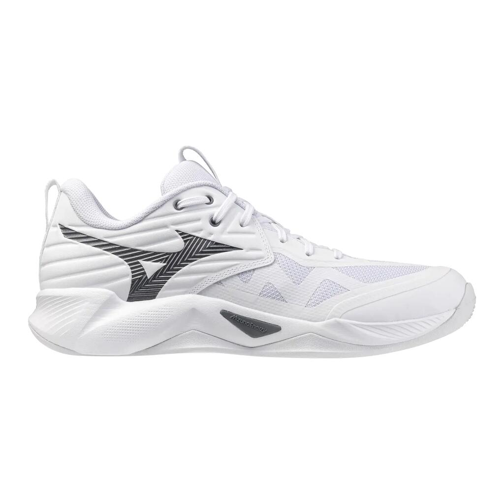 Indoor Shoes Mizuno Wave Momentum Pro