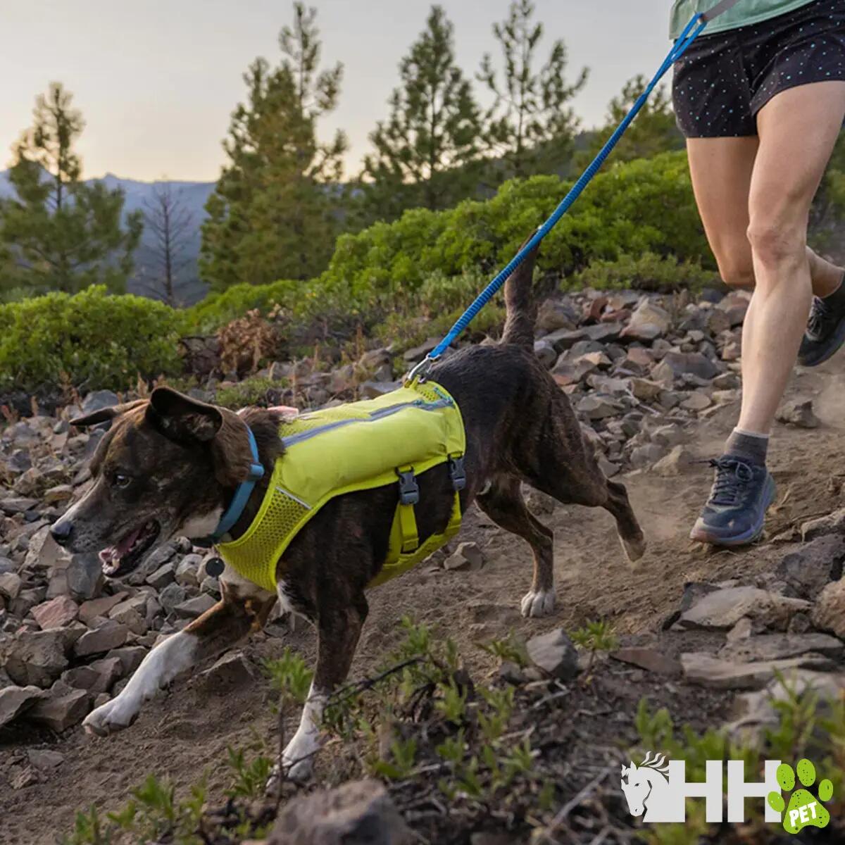 Laisse pour chien Ruffwear Trail Runner 3/3