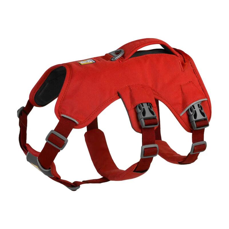 de28ee98-a891-4eff-9bf1-ef39e729cf33_c14