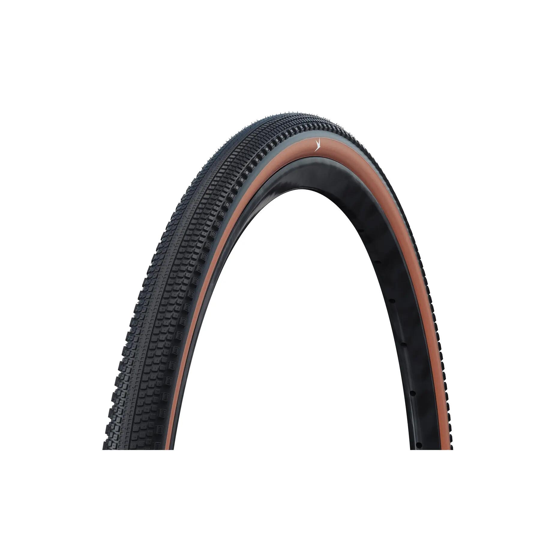 SCHWALBE picture