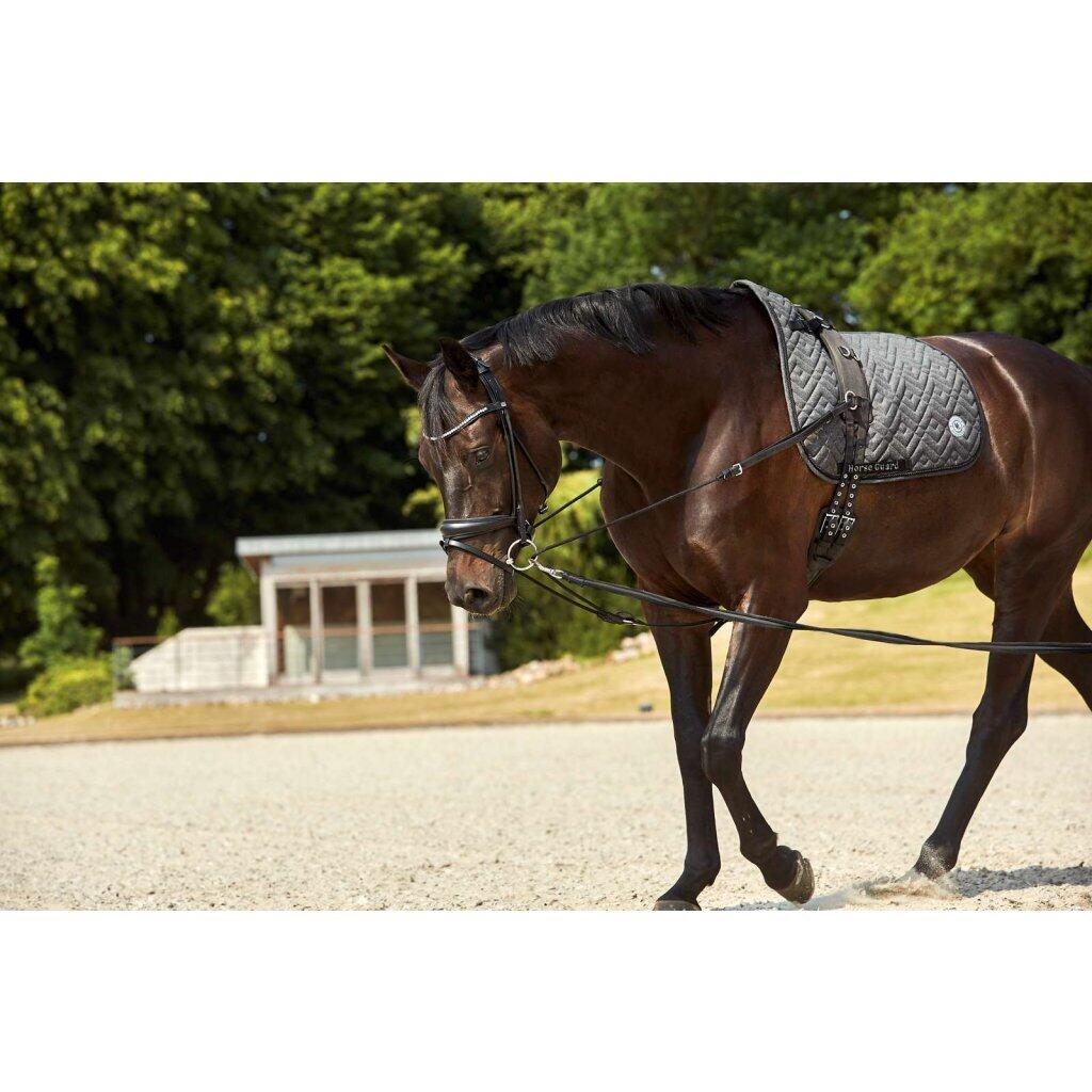 HORSE GUARD picture