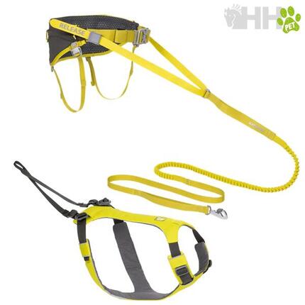 Laisse et harnais pour chien avec une ceinture Ruffwear Omnijore