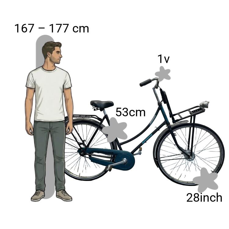 Tweedehands Batavus Florence 2/4