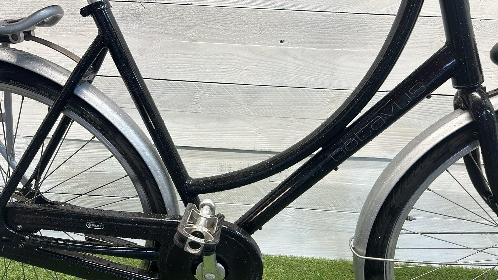 BATAVUS picture