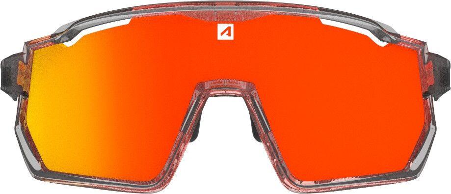 AZR Pro Race RX Carbon Brille matt/schwarz 2/5