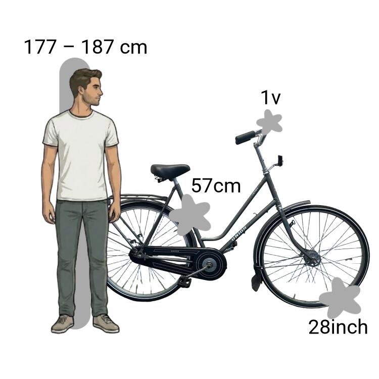 Vélo d’occasion Union Extra 2/4