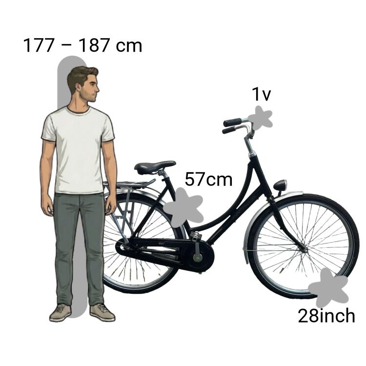 Tweedehands Batavus 2/4