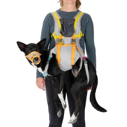 Gilet de sauvetage pour chien Ruffwear BackTrak