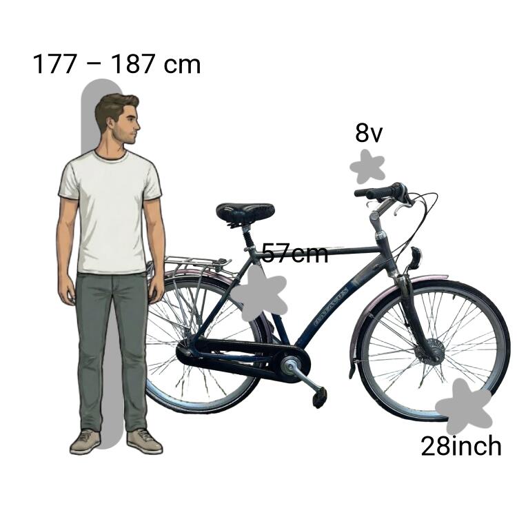 Tweedehands Batavus Staccato 2/4