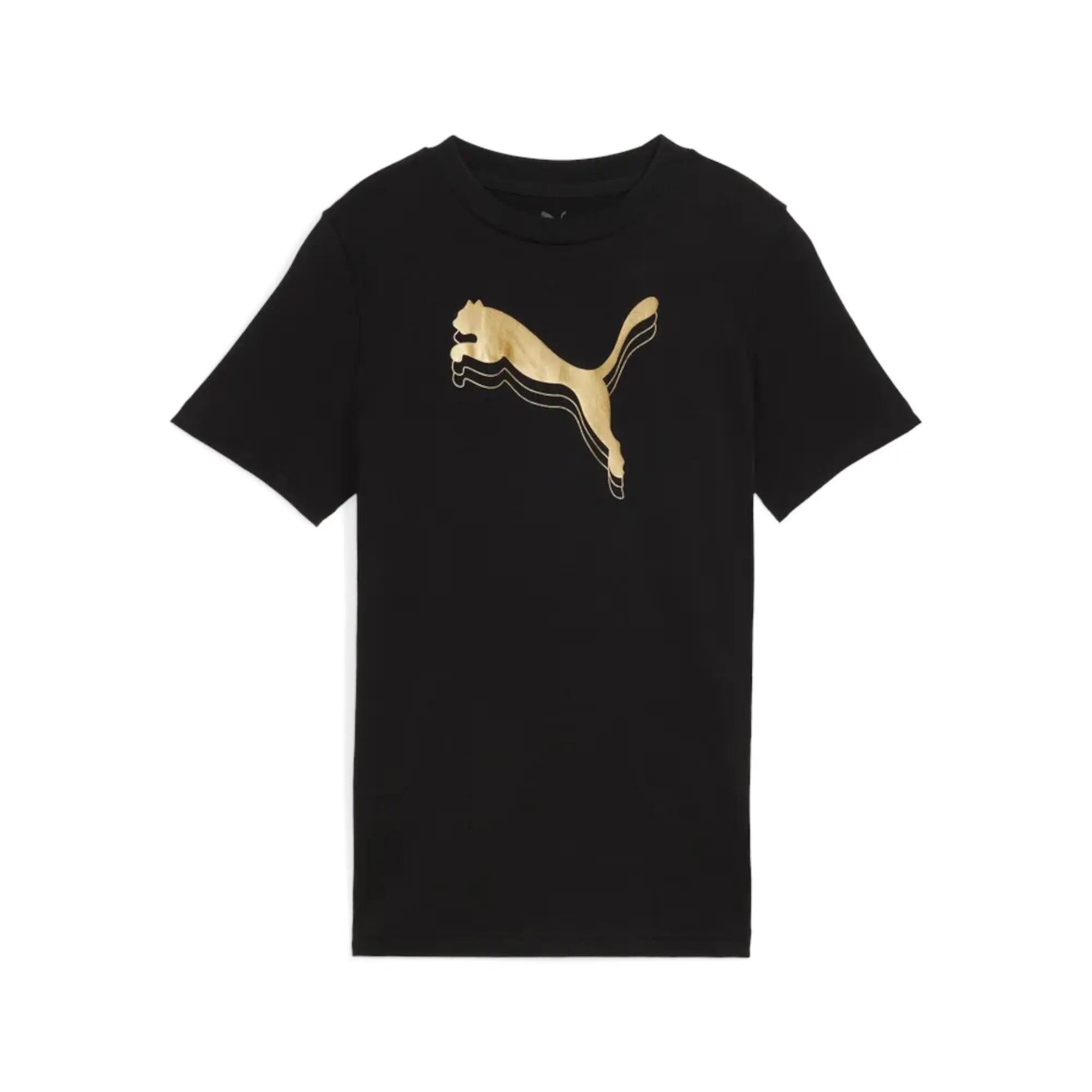 PUMA picture
