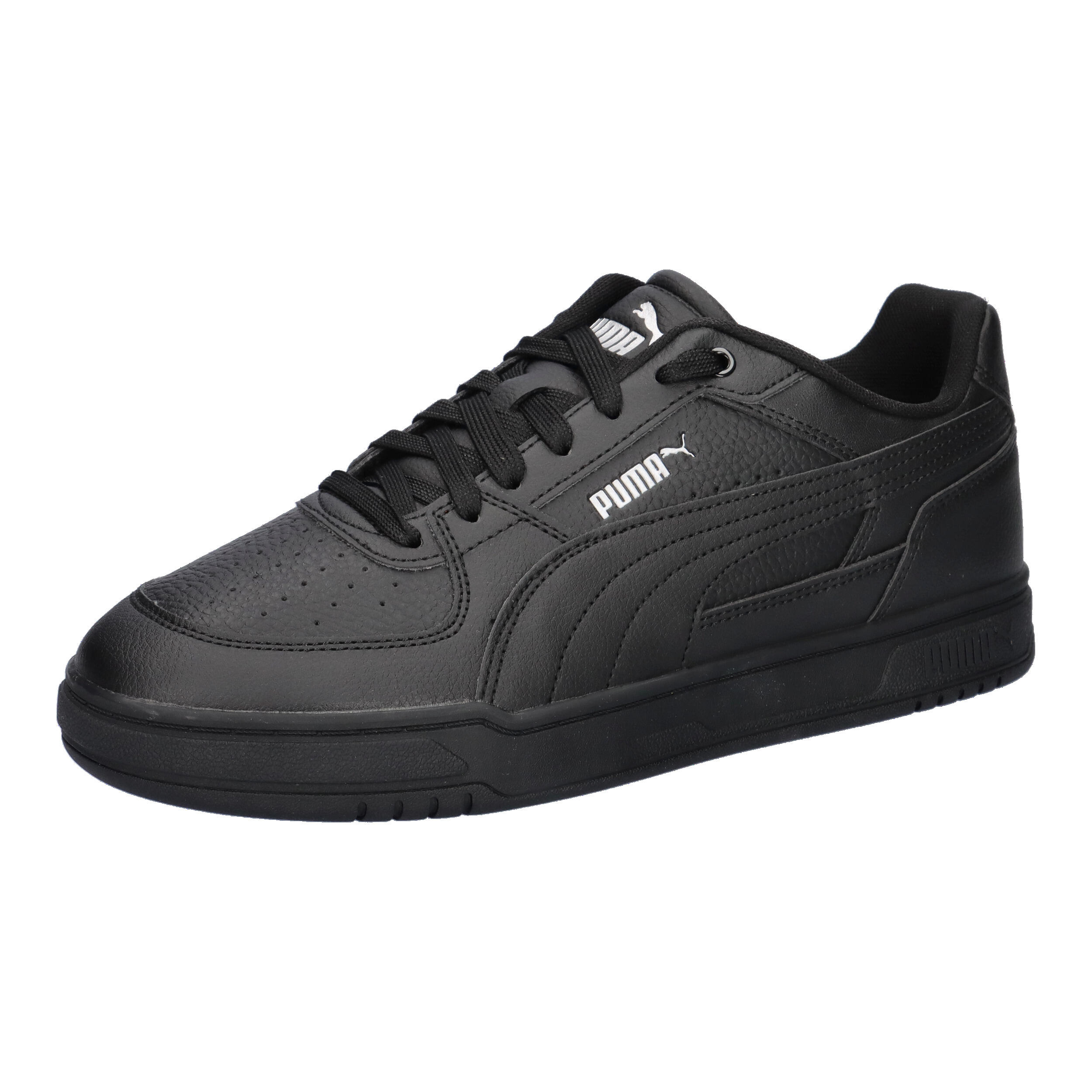 PUMA picture