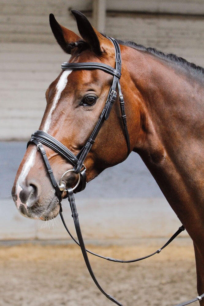 Hoofdstellen voor paarden Harry's Horse Soft 3/4