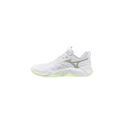 Indoorschoenen voor dames mizuno wave momentum pro