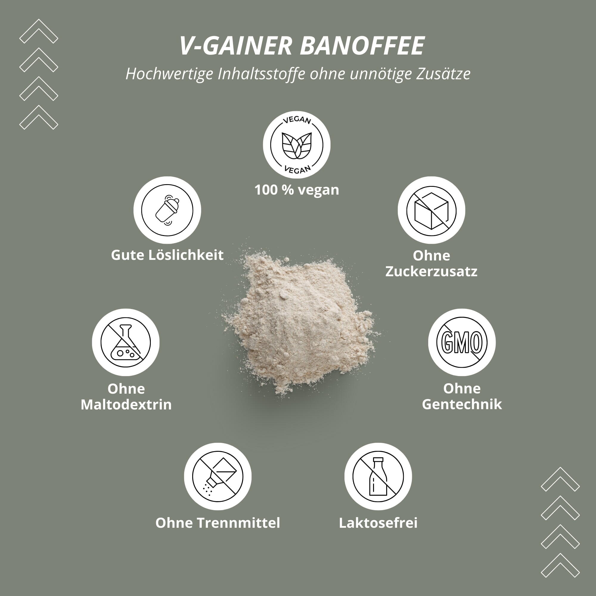 VHEY Gainer 1000 g - Galleta de vainilla 4/5