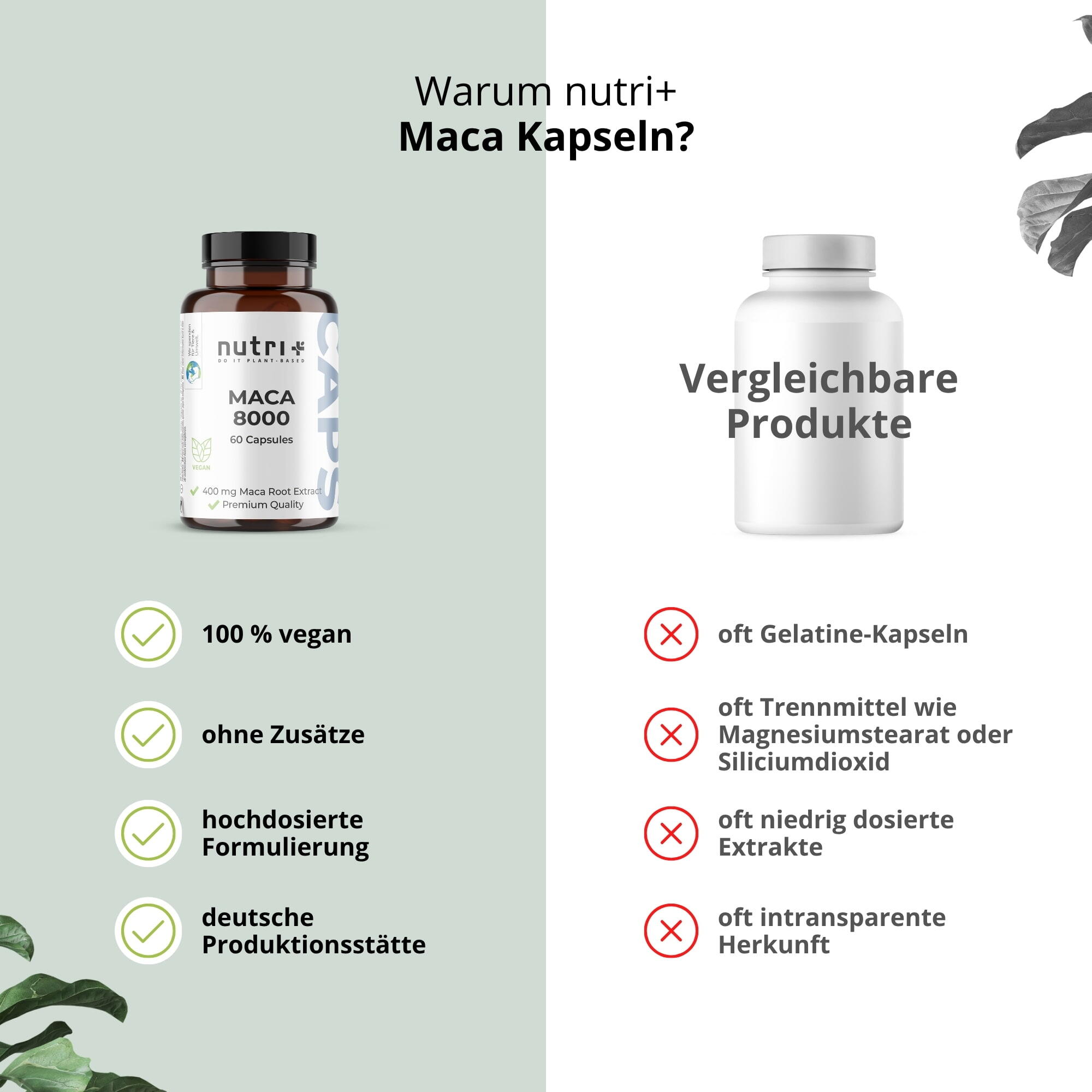 Maca 8000 - 60 Kapseln hochdosiert 5/6